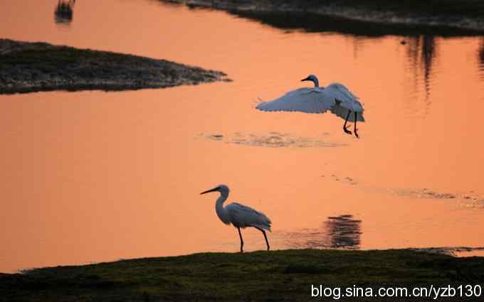 湿地的早晨（组图）