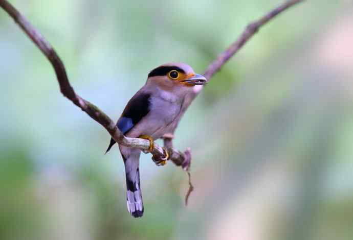 此情可待成追忆 wbr只是当时已惘然（我的阔嘴情缘）