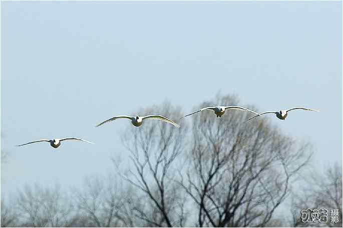  点击图片或使用键盘← →翻页