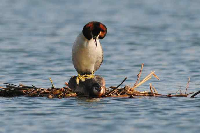 清明假日惬意的午后时光