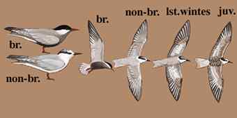 这世界，我来了！任凭风暴漩涡鈥︹Γㄗ橥迹25张图片）