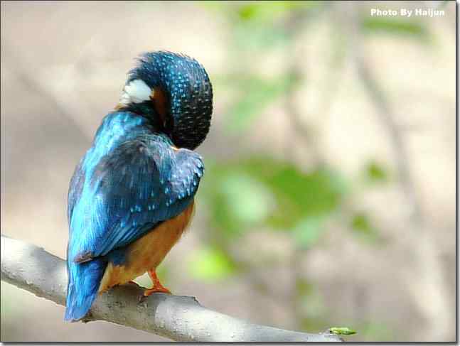  点击图片或使用键盘← →翻页