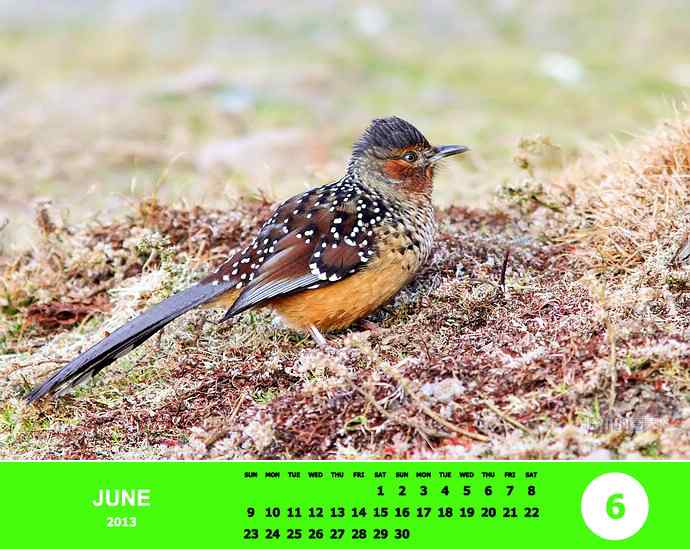 乘风追梦鈥斺斘业2012（附图）