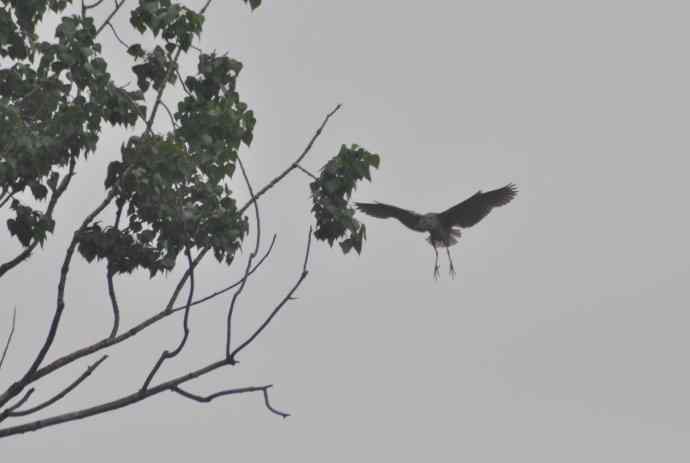 20100505当日总结 20100505当日总结