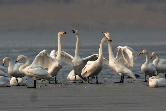 杭州老郑摄影续 杭州老郑摄影续