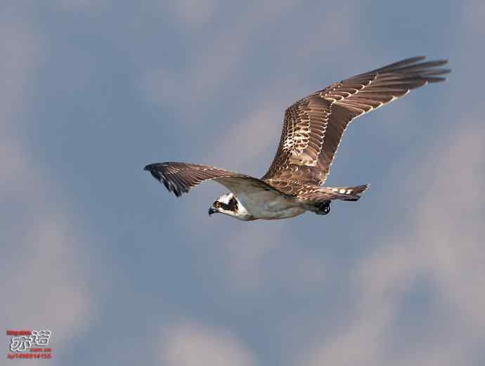 官厅水库&nbsp;wbr路&nbsp;wbr金秋十一猛