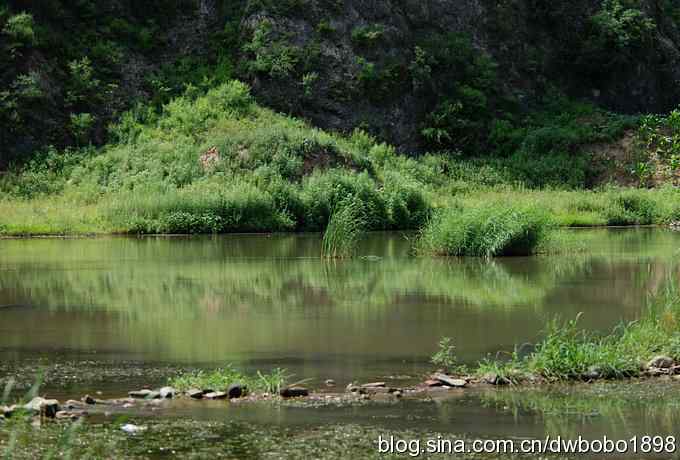 冒酷暑寻拍绿鹭 长途奔袭古北口