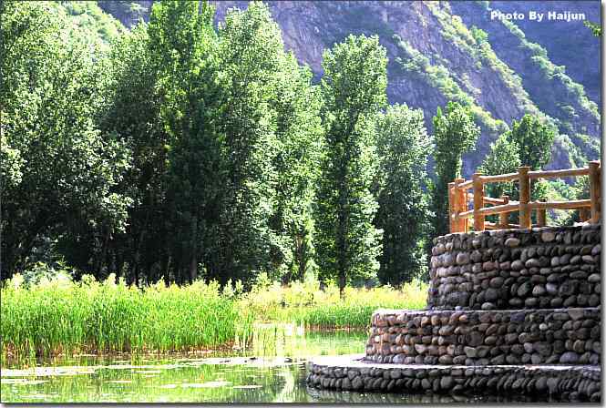  点击图片或使用键盘← →翻页