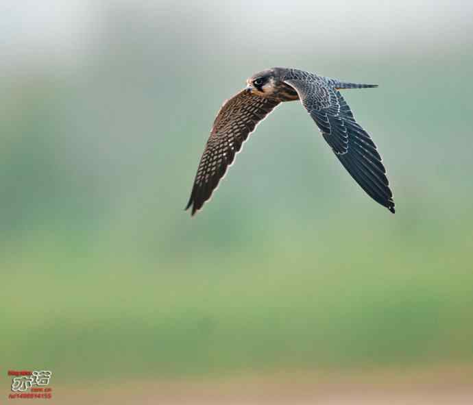 官厅水库&nbsp;wbr路&nbsp;wbr金秋十一猛