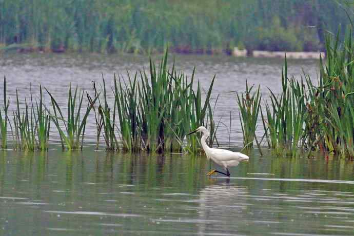 和谐 wbr wbr记录版 wbr wbr（2）