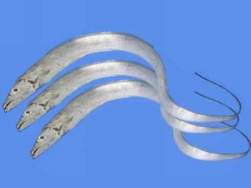 自然奇观:动物大迁徙(大马哈鱼) 自然奇观:动物大迁徙(大马哈鱼)