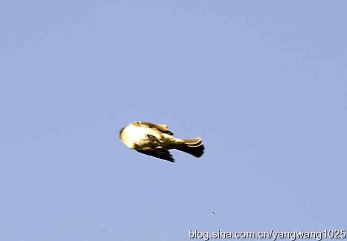 空中街舞（趣闻）