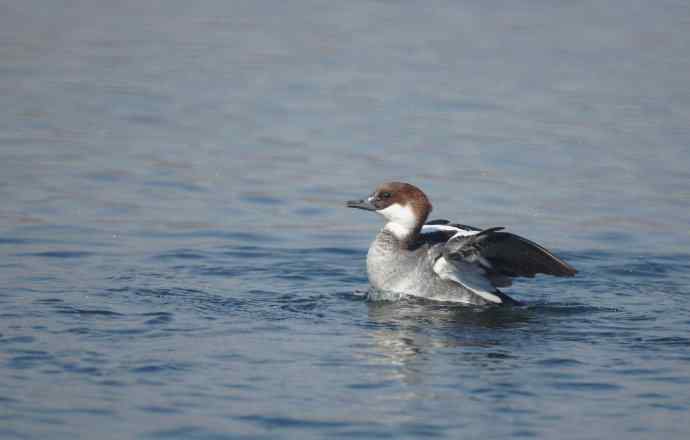 美好记忆鈥斺斣那锷逞