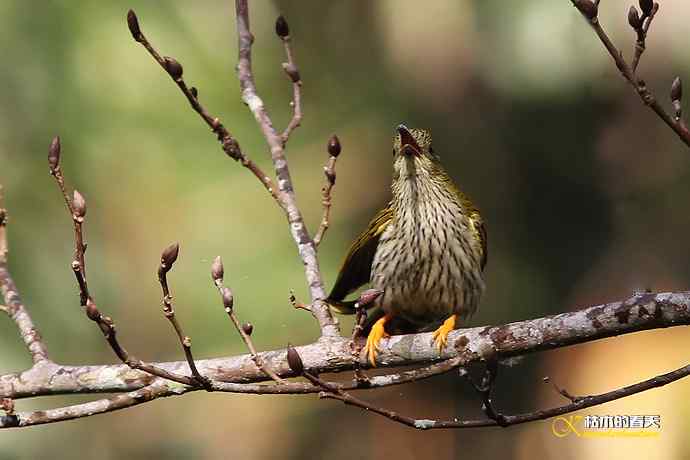 记录鈥溛票巢吨肽疋