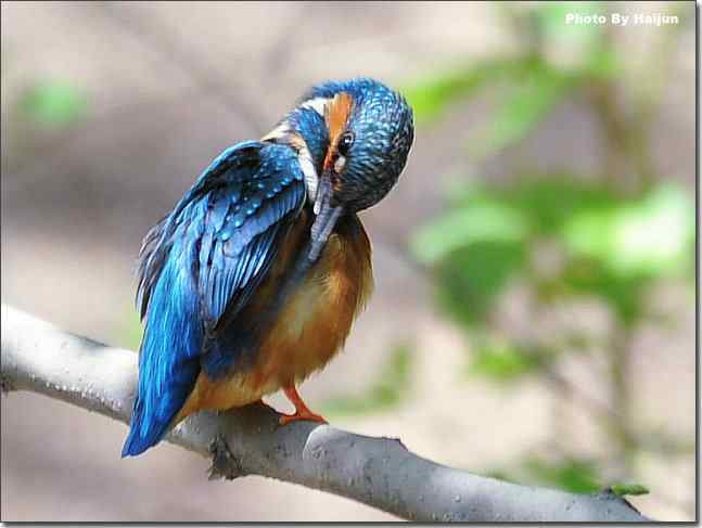  点击图片或使用键盘← →翻页