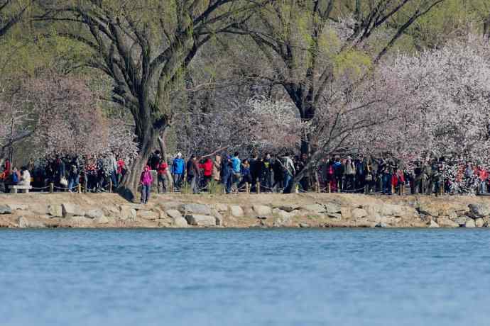 清明假日惬意的午后时光