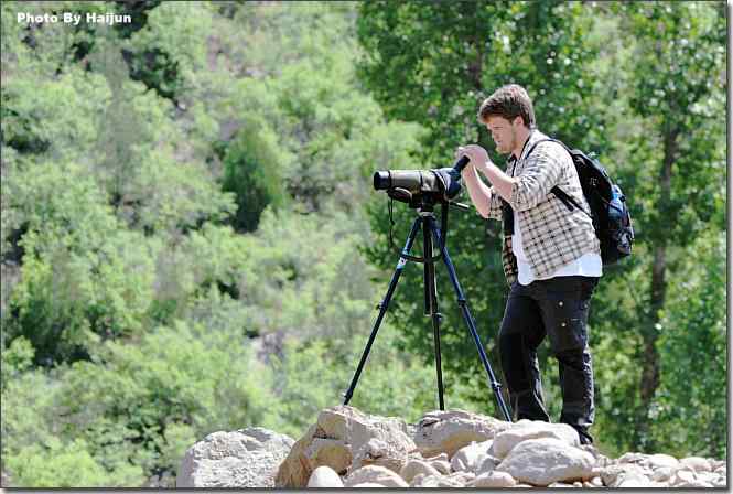 邂逅瑞典皇家鸟调专属委员会观鸟小组