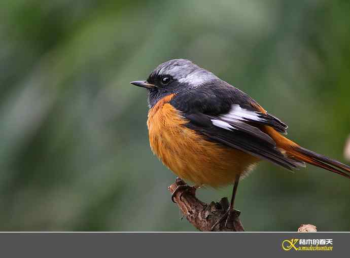近拍鈥湵焙煳拆垛潯臼蹬摹