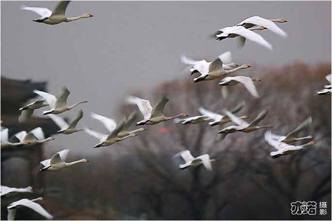  点击图片或使用键盘← →翻页