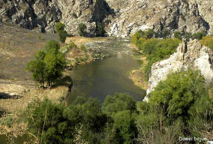 永定河湿地观鸟秋游