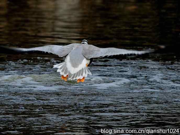 水禽湖冬季运动会