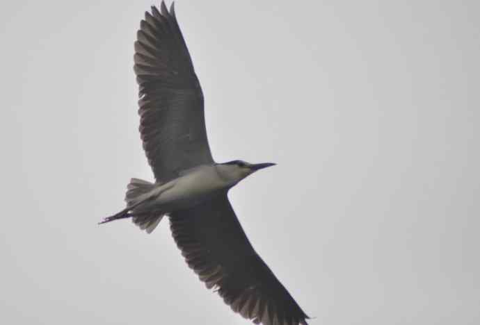 20100505当日总结 20100505当日总结