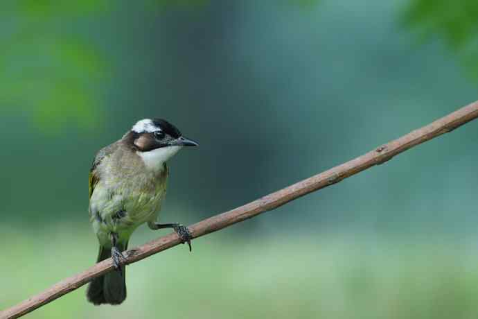 等待（南植收获）