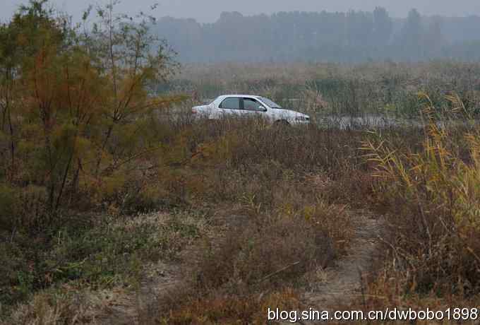 东花园观鸟生境记录
