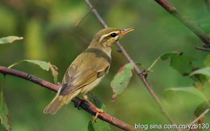 七里海周边鈥湻街酃扳澊蚰
