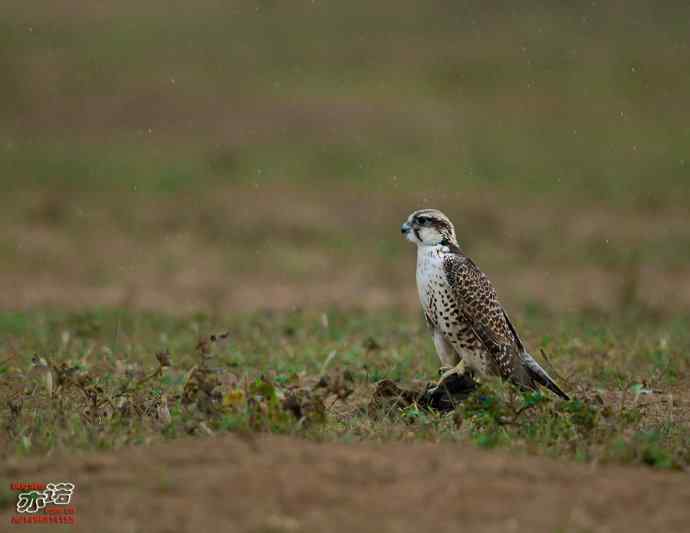 官厅水库&nbsp;wbr路&nbsp;wbr金秋十一猛