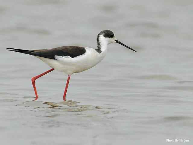 我憧憬那湾碧水 wbr. wbr我流连那片土地