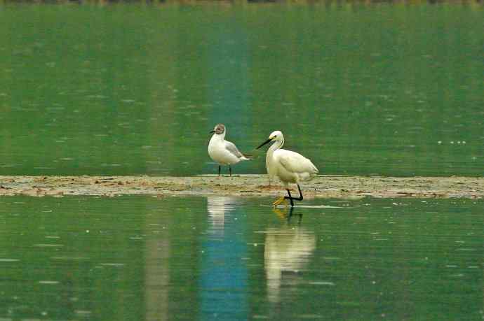 和谐 wbr wbr记录版 wbr wbr（2）