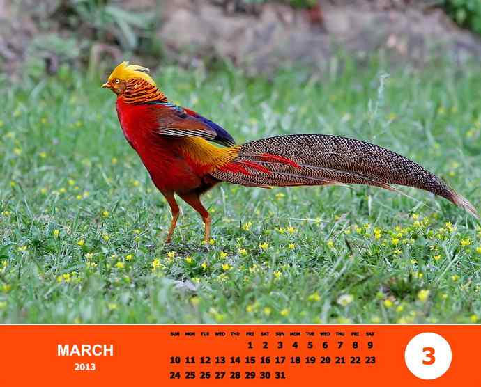 乘风追梦鈥斺斘业2012（附图）