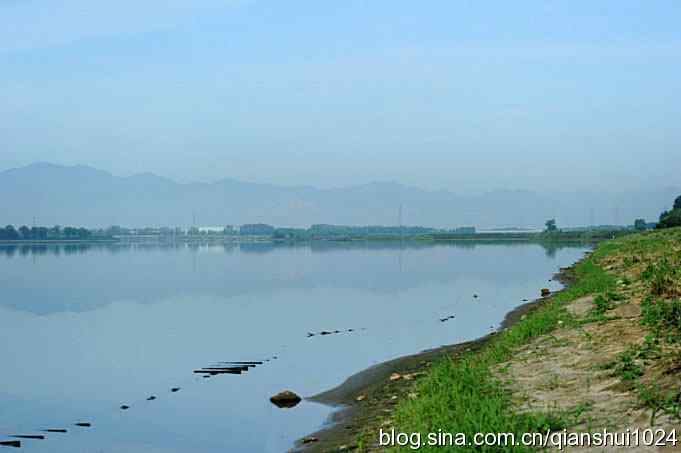 沙河水库.可爱小鸟环颈鸻