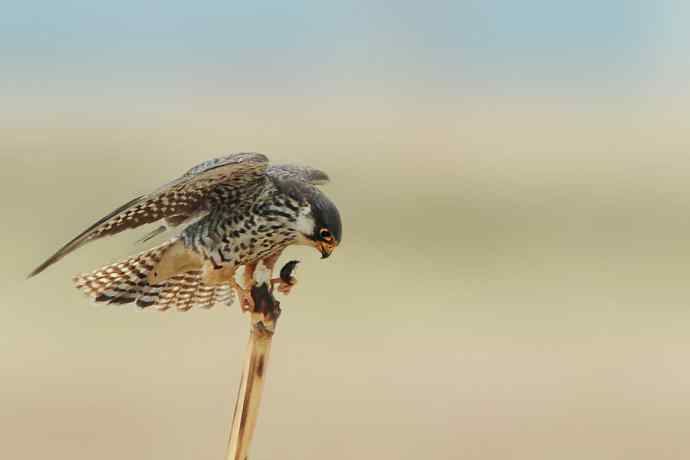 五月天鈥斺斎づ陌⒛露溃ㄒ唬