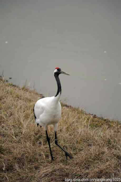 晚秋寻美 wbr wbr3