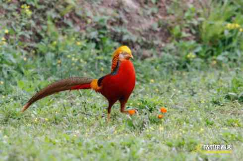 发一组鈥満旄菇跫︹ 发一组鈥満旄菇跫︹