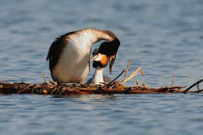 清明假日惬意的午后时光
