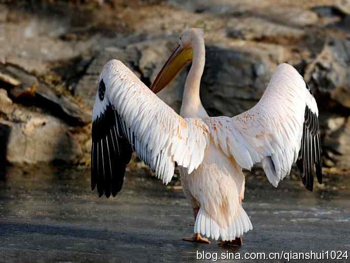 水禽湖冬季运动会