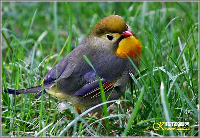 神马都是浮云，健康、快乐才最给力鈥斺斘业2010