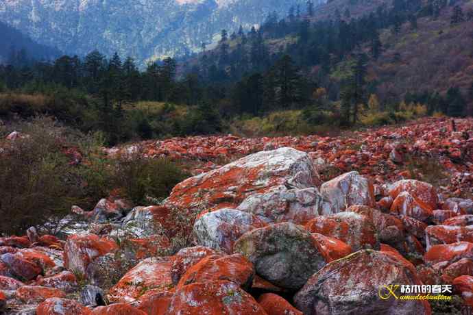 神奇的鈥満焓测