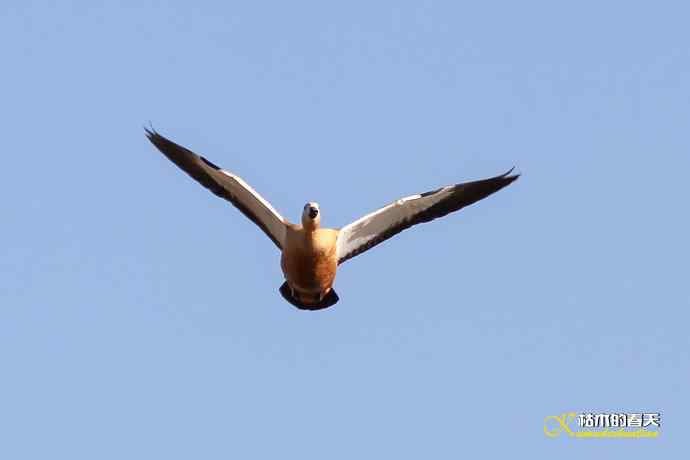 再拍鈥湷嗦檠尖