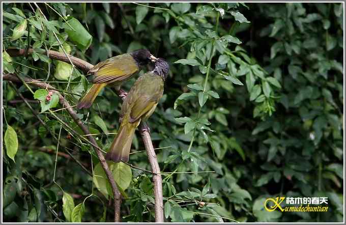阳光明媚好心情【照片】 阳光明媚好心情【照片】