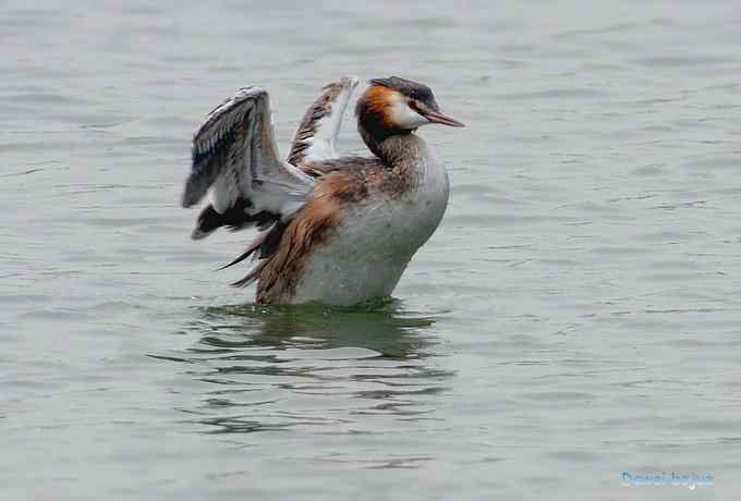 颐和园的凤头 颐和园的凤头