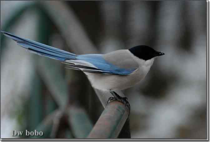 点击图片或使用键盘← →翻页