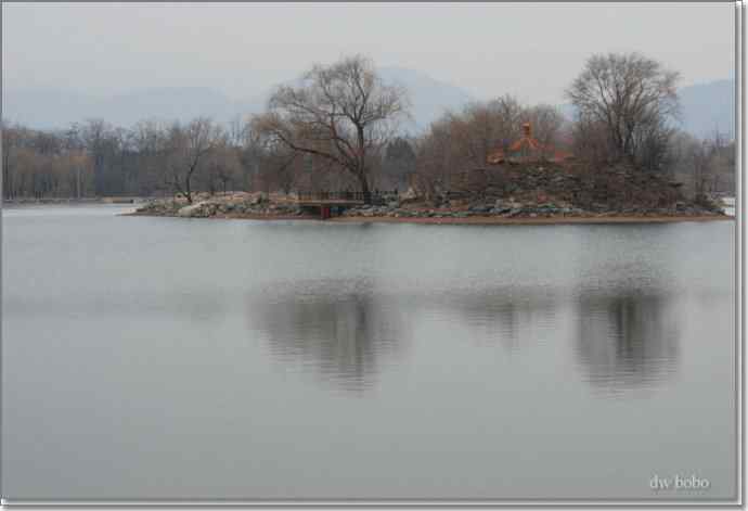 参加自然之友观鸟活动