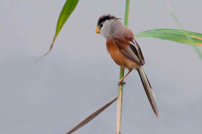 萌态可掬的鈥溦鸬┬∪糕☆★
