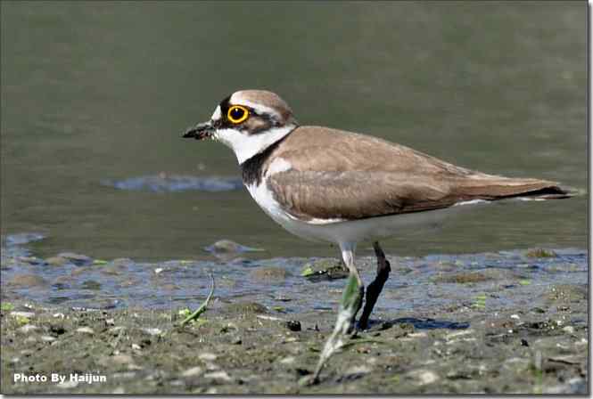  点击图片或使用键盘← →翻页