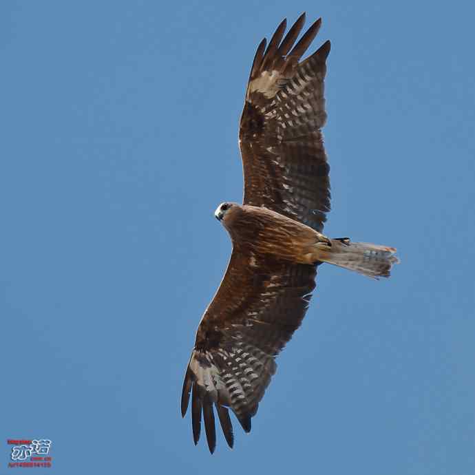 官厅水库&nbsp;wbr路&nbsp;wbr金秋十一猛