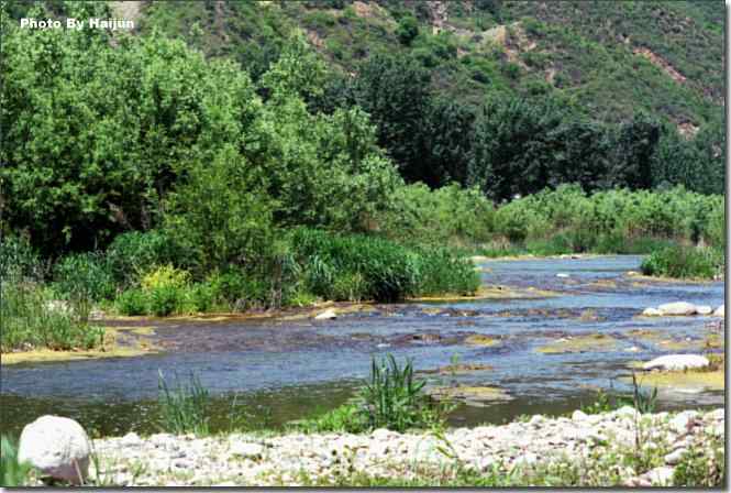  点击图片或使用键盘← →翻页